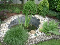 /album/fotografie/p1100082-jpg/